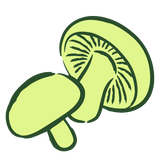 4x Mushroom Extracts