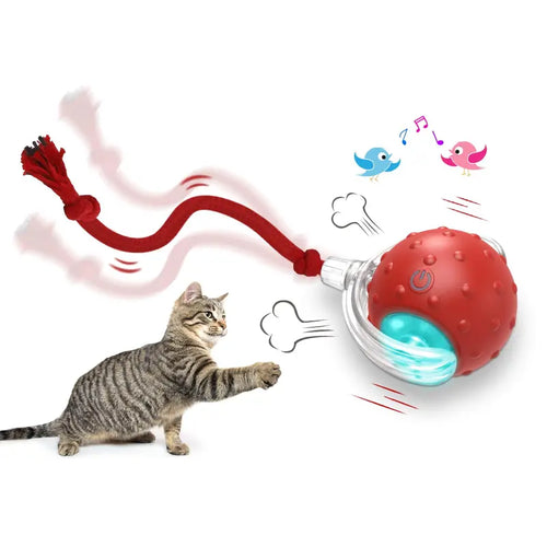 Whisker® Interactive Motion Activated Cat Toy