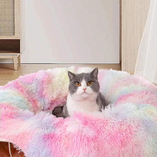 MoonPaws® - Cat Tunnel & Mat Set