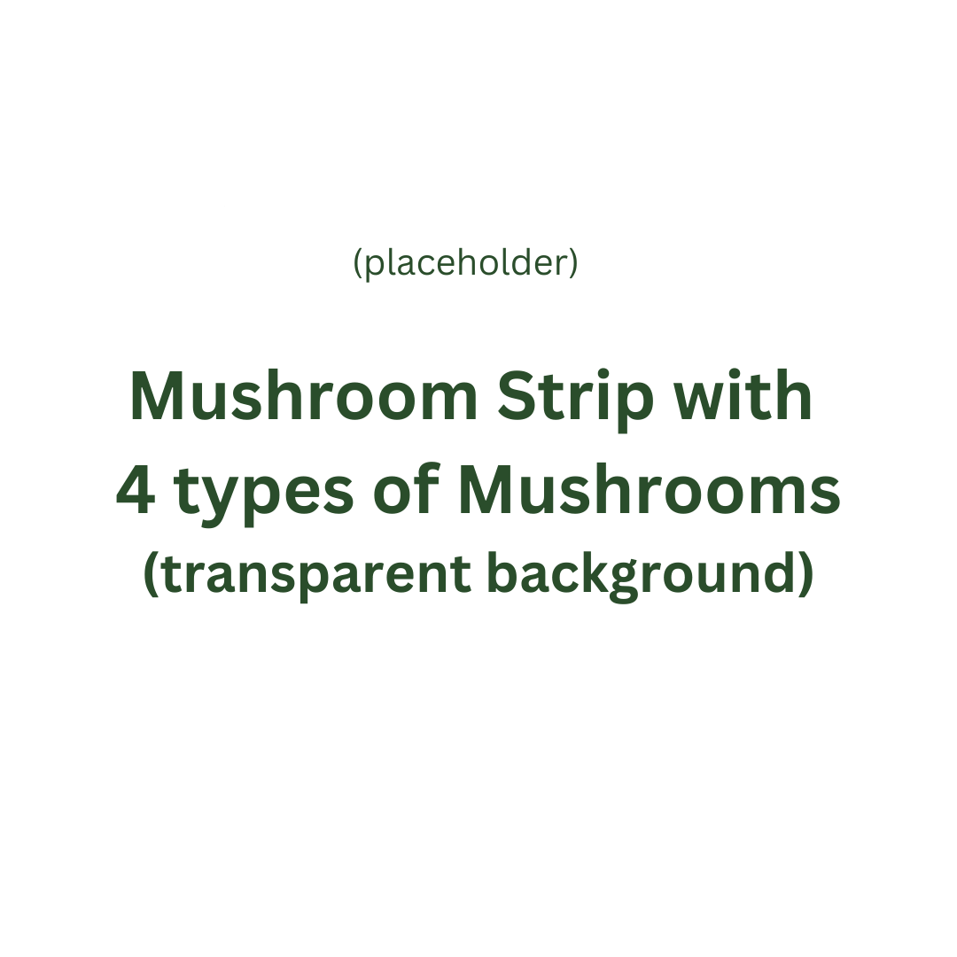 Your Daily Ritual, Backed by